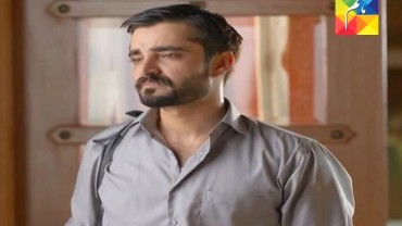 Mann Mayal Episode 8
