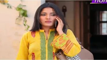 Wajood e Zan Episode 95