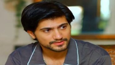 Pakeeza Last Episode 28