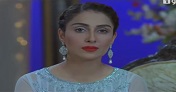 Shehrnaz Episode 14